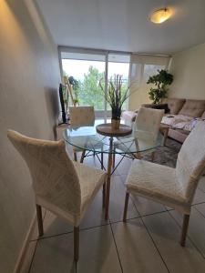 salon ze stołem, krzesłami i kanapą w obiekcie Departamento PREMIUM Amplio 2 camas matrimoniales 2 Baños con Estacionamiento Gratis privado w mieście Santiago