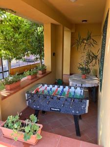 カンピ・ビゼンツィオにあるTuscan Charm Spacious Florence Homeのパティオに置かれた色とりどりの鳥が飾られたテーブル