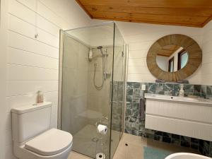a bathroom with a shower and a toilet and a mirror at Pukaki Lakeside Getaway NZ in Lake Pukaki +63 photos