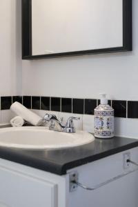a bathroom with a sink and a mirror at Charming 1 br Retreat in South Surrey White Rock in Surrey