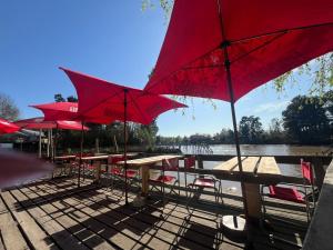 Φυσικό τοπίο κοντά σε αυτός ο ξενώνας