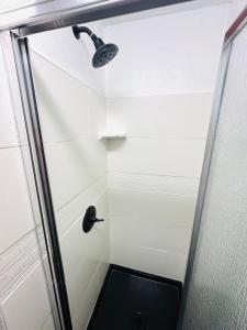 ducha con puerta de cristal y cabezal de ducha en Happy Hill Inn, en Kailua-Kona 28 fotos más