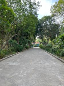 an empty road with trees on either side at Adichunchangiri Mahasamsthana Math in Naimishāranya