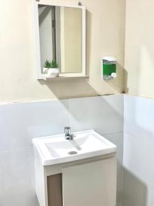 a bathroom with a white sink and a mirror at Florencia Lodgement in Lima