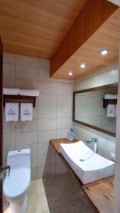 a bathroom with a white toilet and a sink at HOTEL Y RESTAURANTE HACIENDA LOS VOLCANES in Santa Lucía Milpas Altas