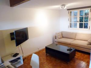 un salon avec un canapé et une télévision dans l'établissement Charmant mas 4 personnes avec piscine et parking à La Croix-Valmer - FR-1-726-60, à La Croix-Valmer