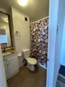 a bathroom with a toilet and a stone wall at Apartamento cerca de Casino Marina del Sol en Talcahuano in Talcahuano