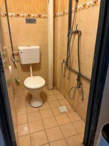 a bathroom with a toilet and a shower stall at RumahCheMatsunami in Tanah Rata