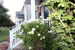 セントルイスにあるSpacious 4BR Retreat Near Tower Grove, SLU and Attractions!の白柵の家