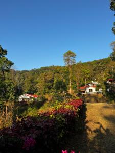 a garden with flowers and houses on a hill at Green Echoes by Tripture - Holiday Villas in Coorg in Cherambane
