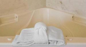 a pile of towels sitting in a bath tub at Quality Suites Jeffersonville - Louisville North in Jeffersonville +31 photos