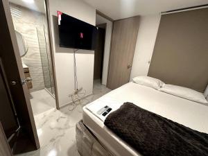 プエルト・コロンビアにあるNew, the best view 7 minutes from CC Bvista- Val mundoのベッドルーム(ベッド1台、シャワー、テレビ付)