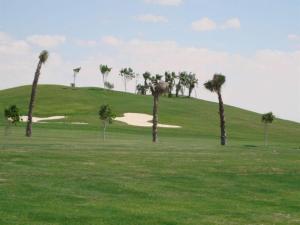 a group of palm trees on a golf course at Two Bedroom Apartment at Porto Golf Marina Egyptian only in El Alamein