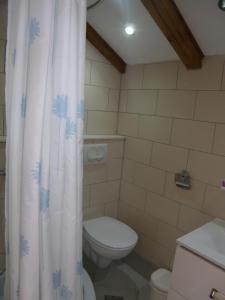 a bathroom with a toilet and a shower curtain at Apartman Kristina, studio i soba in Primošten +61 photos