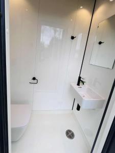 a white bathroom with a sink and a mirror at Kargevärava Elamustalu in Kapra