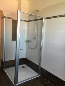 prysznic ze szklanymi drzwiami w łazience w obiekcie Ferienhaus Hochbrand w mieście Rabenstein
