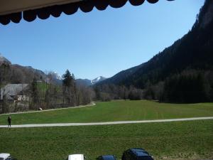 a person standing in a field with a road at Appartement face à la montagne in Abondance