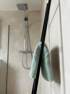 a shower with a green towel hanging on a wall at Green Bliss in Wervik