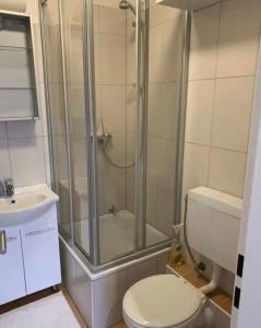 een badkamer met een douche, een toilet en een wastafel bij Urban Art Studio Köln City in Keulen