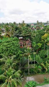 an aerial view of a village with palm trees and houses at Lombok Riverside Bungalows in Masbagik