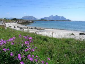a beach with pink flowers and the water and mountains at 7 person holiday home in Bøstad in Alstad