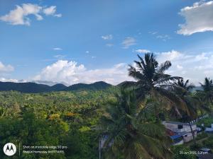 a palm tree in the middle of a forest at Bhasuri AC Room 1 in Agali