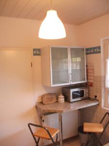 eine Küche mit einer Arbeitsplatte und einer Mikrowelle in der Unterkunft Fewo Benedikta in Beuron