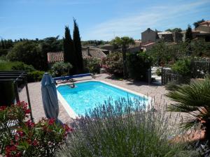 a swimming pool with an umbrella and some plants at Maison de Laura in Salsigne