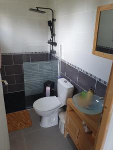 ein Badezimmer mit Toilette, Waschbecken und Dusche in der Unterkunft Pleasant little cottage in Pont-sur-Yonne