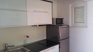 Kuchyň nebo kuchyňský kout v ubytování Gavza Luna Apartment