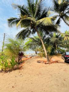 Φυσικό τοπίο κοντά σε αυτό το διαμέρισμα +3 φωτογραφίες