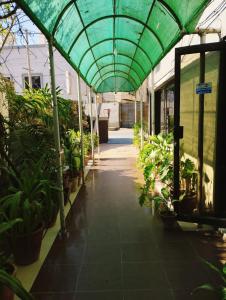 Un invernadero verde con plantas en macetas. en HillTop Hotel, en Karachi