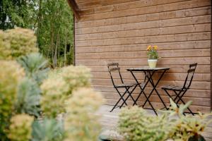 two chairs and a table with a potted plant on a patio at Le Clos De La Roche in Goven