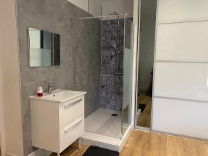 a bathroom with a shower with a sink and a mirror at Sur la route des châteaux in Soussans
