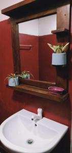 阿努拉德普勒Dewdula villa的浴室设有水槽和镜子,种植了盆栽植物