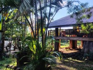 une maison dans la jungle avec un palmier dans l'établissement Nirvana Archipel Resort, à Vang Vieng