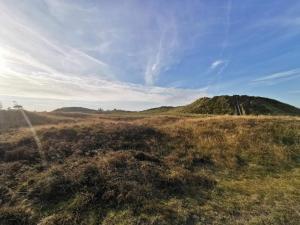 a grassy field with a hill in the distance at 6 person holiday home in Rømø-By Traum in Rømø Kirkeby