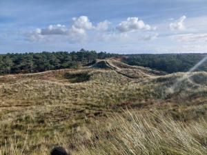 a person standing on top of a grassy hill at 6 person holiday home in Rømø-By Traum in Rømø Kirkeby +27 photos