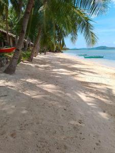 Příroda nedaleko kempu