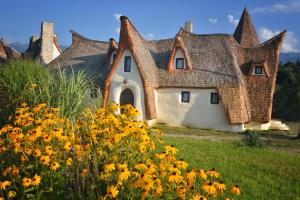 Una casa con un techo con flores amarillas en primer plano. en Castelul de Lut - Eco Boutique Guesthouse, en Porumbacu de Sus