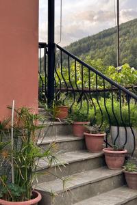 Nespecifikovaný výhled na hory nebo výhled na hory při pohledu z apartmánu