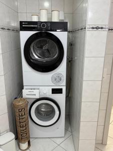 a washer and dryer in a small bathroom at Terrassenwohnung mit Parkplatz in Wangen