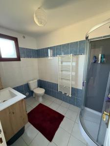 a bathroom with a shower and a toilet and a sink at Charming Mountain Escape in Sospel, Perfect for Nature Lovers in Sospel +18 photos