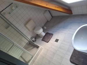 a bathroom with a toilet and a sink at Almási Öregmalom in Dunaalmás