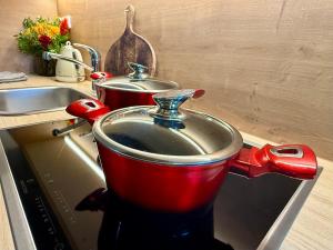 une casserole rouge sur une cuisinière à côté d'un évier dans l'établissement apartmány V Lese, à Bedřichov 87 autres photos