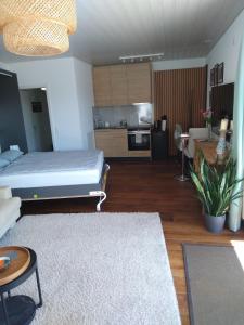 Η κουζίνα ή μικρή κουζίνα στο Luxury Studio, Hillside View in Mettau,