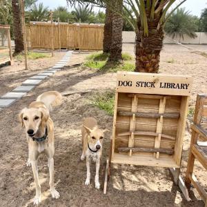 Κατοικίδιο ή κατοικίδια επισκεπτών που μένουν στο Naseem Farm Escape - dog-friendly camp site