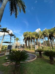 un parc avec des palmiers et une route circulaire dans l'établissement Apartamento Confortavel 2 quartos ao lado Shopping, à Uberlândia