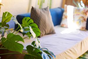 a couch with pillows and a plant in a living room at John Bauer Pottery Studio in Cape Town