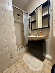 a bathroom with a sink and a shower at Harztastisch Ferienwohnung in Bad Sachsa